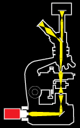 Nikon S-ke upright microscope